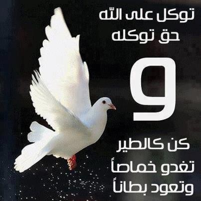 اضغط على الصورة لعرض أكبر. 

الإسم:	EsJbZ.jpg 
مشاهدات:	53 
الحجم:	39.6 كيلوبايت 
الهوية:	2748