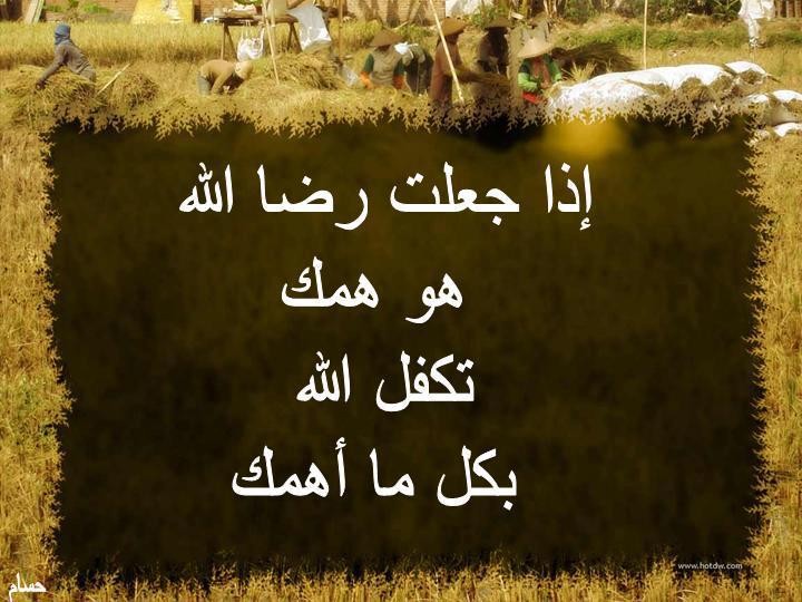 اضغط على الصورة لعرض أكبر. 

الإسم:	UMMzU.jpg 
مشاهدات:	68 
الحجم:	95.0 كيلوبايت 
الهوية:	2758