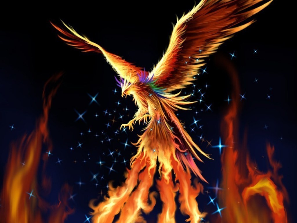 اضغط على الصورة لعرض أكبر.   الإسم:	Phoenix-fantasy-17884366-1024-768.jpg  مشاهدات:	0  الحجم:	120.2 كيلوبايت  الهوية:	16801